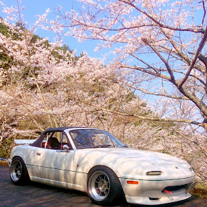 ロードスター NA8C