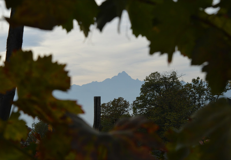 Monviso di fedecarletto