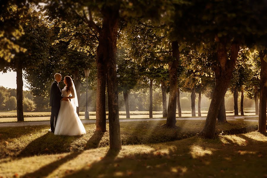 Photographe de mariage Sergey Gavaros (sergeygavaros). Photo du 26 novembre 2018