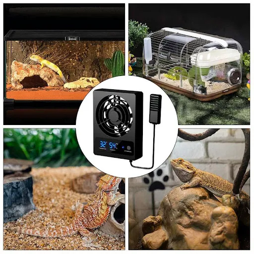 Ventilation Fan For Reptile Enclosure Smart Cooling Fan With LED Display Strong Wind Low Noise For Amphibians Reptiles S