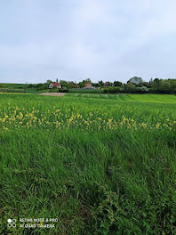 terrain à Aubin-Saint-Vaast (62)