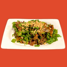 A4. 夫妻肺片 Spicy Beef Tripes & Beef Slices