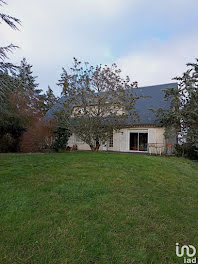 maison à Chatillon-sur-loire (45)