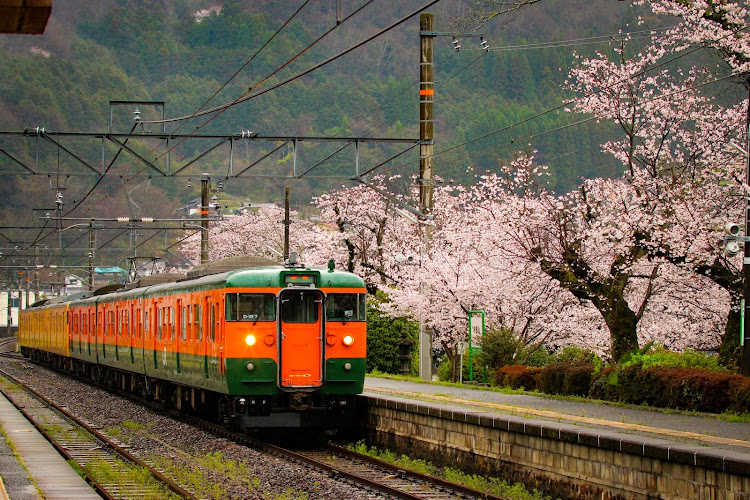 セリカの桜・撮り鉄に関するカスタム事例の投稿画像3枚目