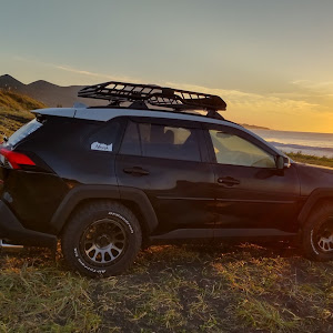 RAV4 MXAA54