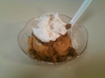 Pumpkin Pie Ice Cream (weight watchers)