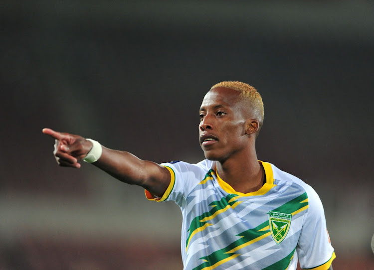 Divine Lunga of Golden Arrows