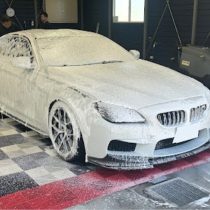 M6 クーペ F13