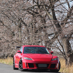 RX-8