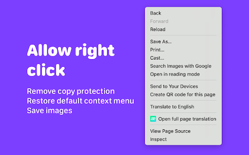 Allow Copy & Enable Right Click screenshot 1
