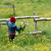 Tenera primavera .. di 