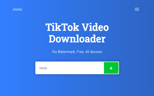 Tictok Downloader Assistant Preview image 0