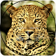 Big Cats Hunting: Wild Cheetah Hunter Survival Download on Windows