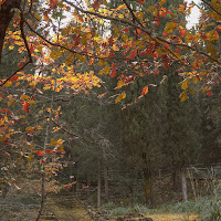 Racconto d'autunno di 