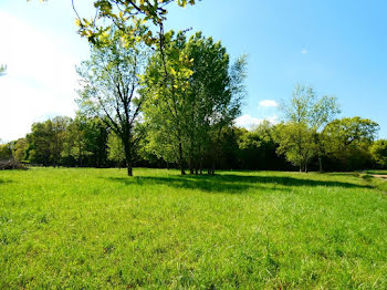 terrain à Saint-estephe (33)