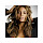 Beyonce Tribute New Tab