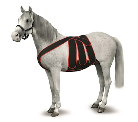 KRUUSE Equine Frontal Bandaging,  L