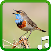 Bird Calls and Sounds icon