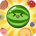 Icon Fruit Drop Master