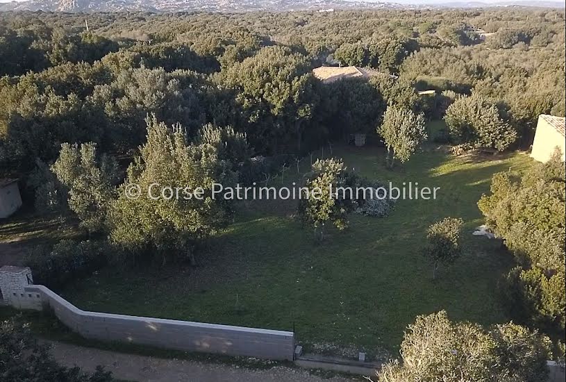  Vente Terrain à bâtir - 1 053m² à Bonifacio (20169) 