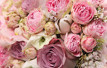 Peonies Flower Wallpapers for New Tab  small promo image