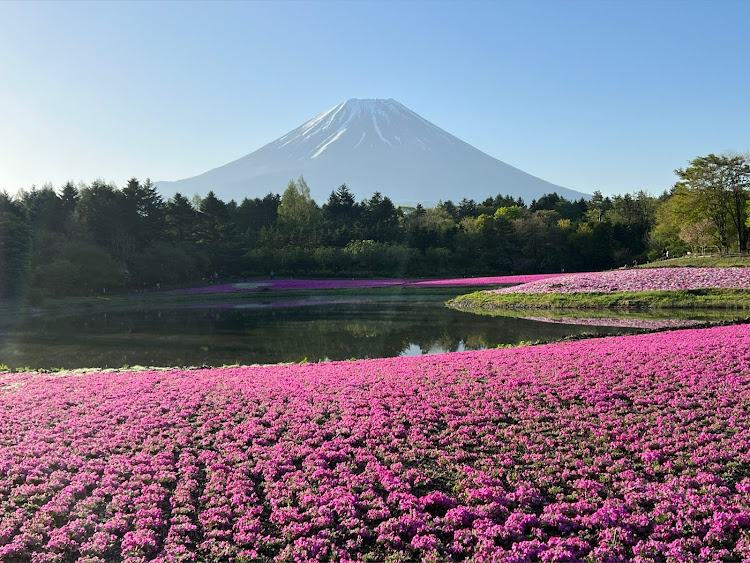 の投稿画像1枚目