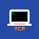 Download TCP Client For PC Windows and Mac