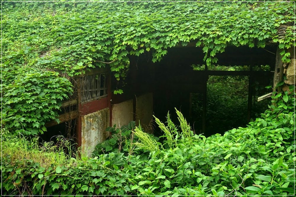 Houtouwan, a vila de pescadores abandonada na China