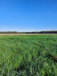 terrain à Hilsenheim (67)