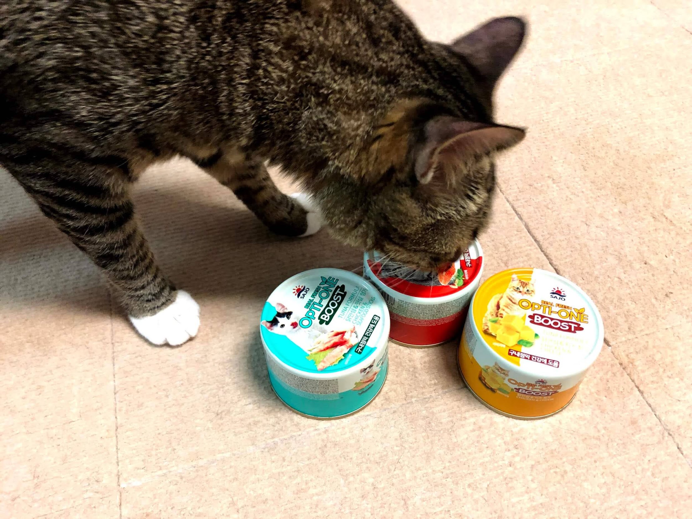 고양이 습식사료 주식캔 - 사조 옵티원 부스트 캔
wet food can for cat - sajo opti-one boost