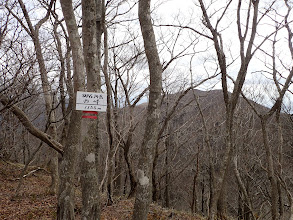 御在所岳西峰(1155m)