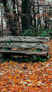 Bench Wallpaper(圖3)-速報App