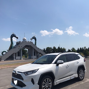 RAV4 MXAA54