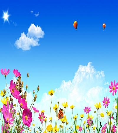 免費下載個人化APP|spring wallpaper app開箱文|APP開箱王