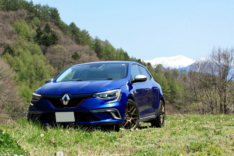 メガーヌ ハッチバックのカメ活・御嶽山・木曽・未来のカメラマン・丸太コラボに関するカスタム事例の投稿画像7枚目