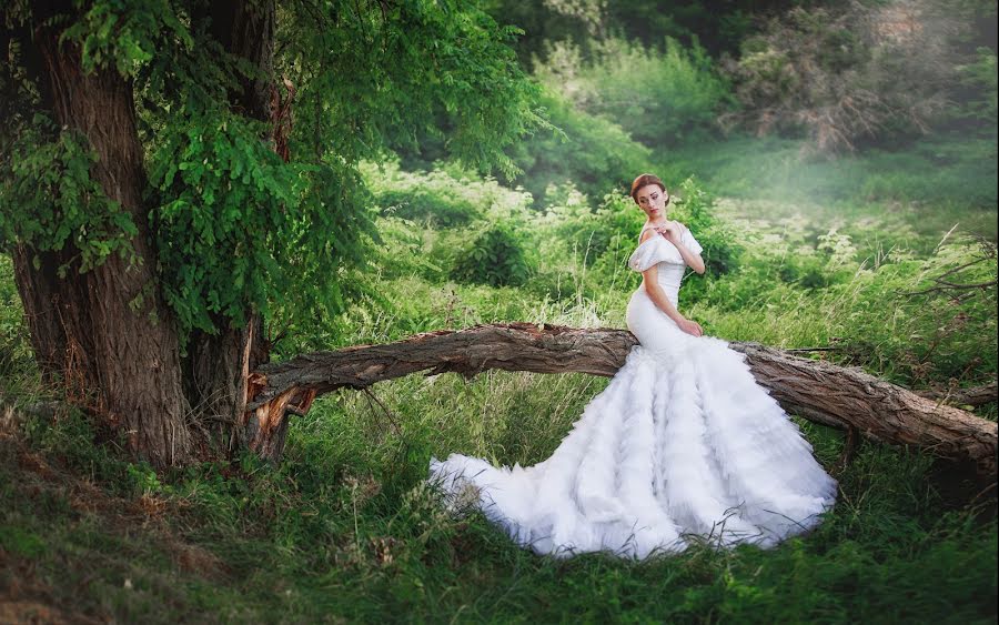 Wedding photographer Ekaterina Alekseeva (namataarim). Photo of 28 April 2016