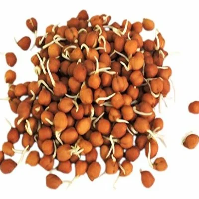 Dream Farm Sprouts Chana Brown Prepack About 200 Gm