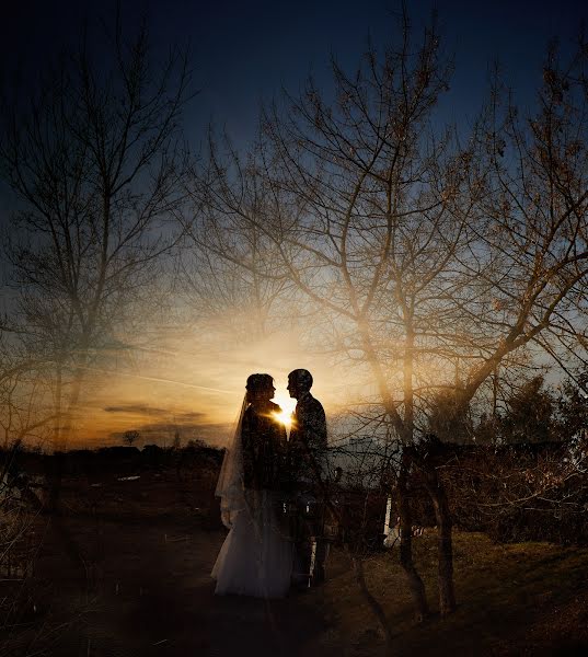 Photographe de mariage Andrey Rodchenko (andryby). Photo du 20 février 2020