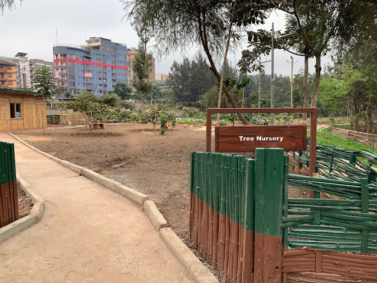 The tree nursery in Michuki park backs onto Kipande Road