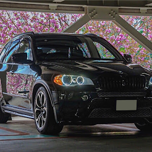 X5 E70