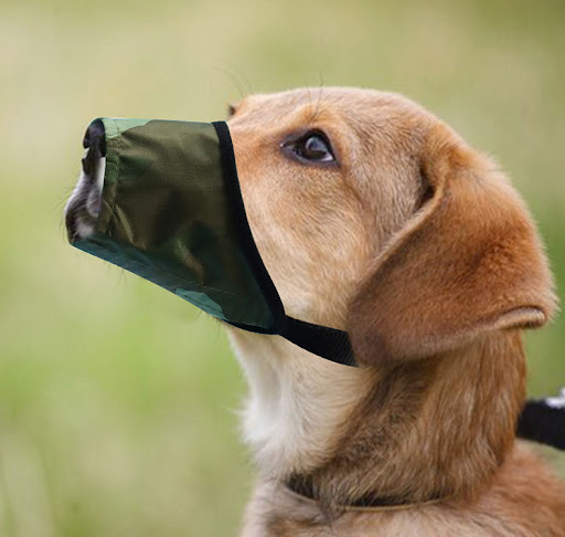 Title 2, Waterproof dog muzzle, anti-bite, anti-eating, ...