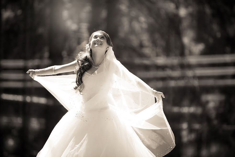 Wedding photographer Yuliya Grickova (yuliagg). Photo of 17 September 2014