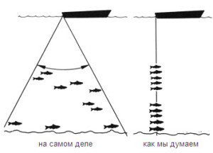 Эхолот для рыбалки