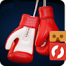 Box Fighter VR icon