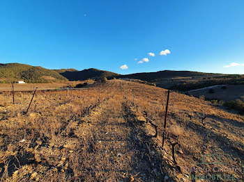 terrain à Montner (66)