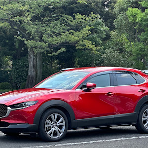 CX-30