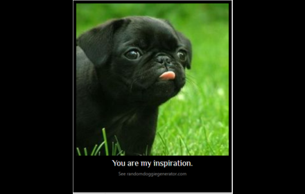 Inspiring Puppies Preview image 0