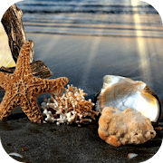 Beautiful Beach Frames Photo Editor  Icon