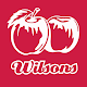 Wilsons Download on Windows