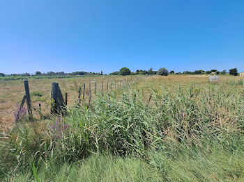 terrain à Aigues-Mortes (30)